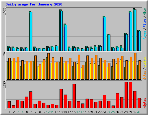 Daily usage for January 2026