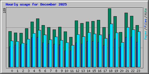 Hourly usage for December 2025