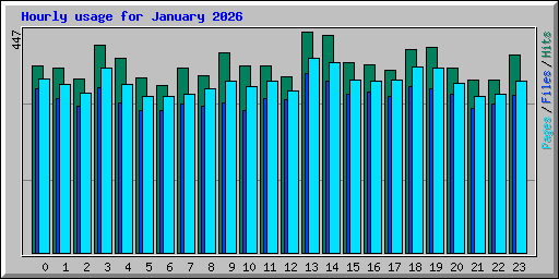 Hourly usage for January 2026